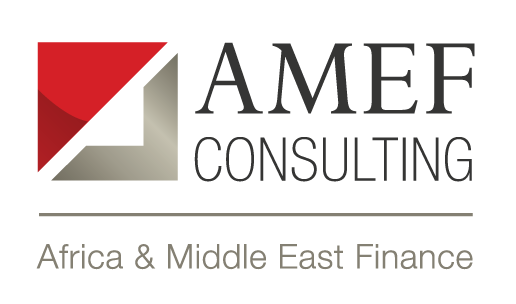 AMEF Consulting